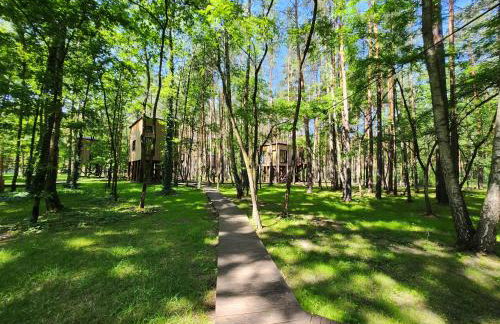 Tree Houses Olszanka - Photo 23