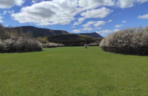 Lika Relax and Party House with sauna, jacuzzi and outdoor heated swimming pool - Foto 79