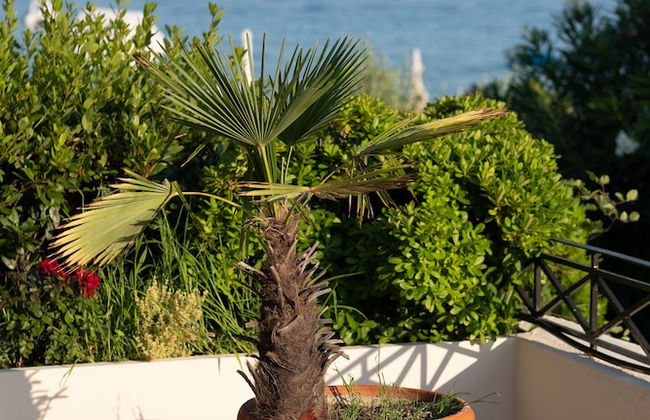 Blue Crystal Villa - Photo 45