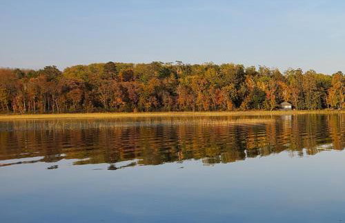 Wilderness Resort Villas - Foto 38