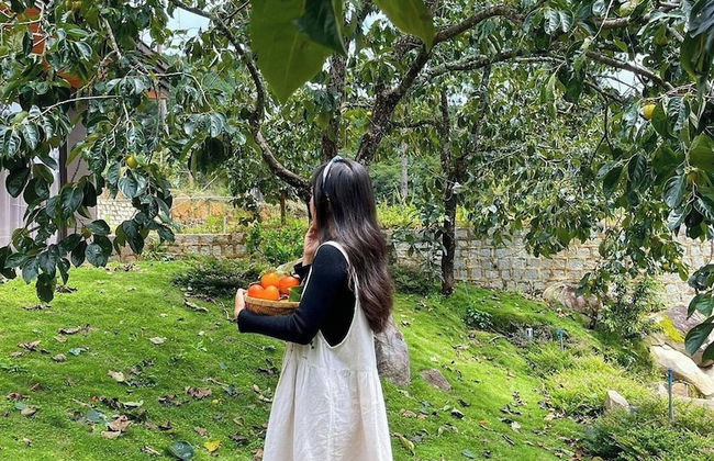 Scent House - Village - Foto 24