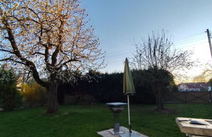 Ferienhaus mit Charme am Rennsteig - mit Sauna&Holzofen - Foto 20