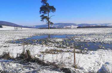 Ferienhaus Fynnhütte - Foto 23