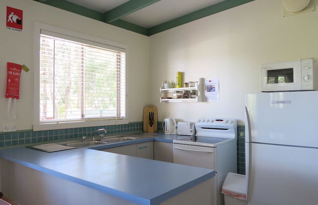 The Black Sparrow - Photo 25