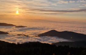 Badischer Neubau-Ruhe-Kunst-Natur - Foto 32