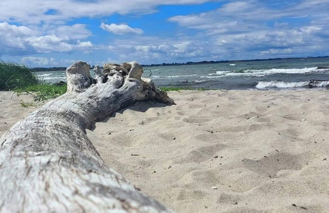 4 Star Holiday Home in Korsor - Foto 26