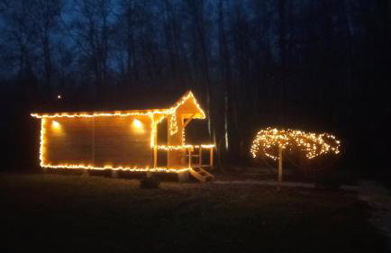 Wilga Leśne SPA - Foto 60