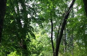 Rancho La Herradura - Photo 23