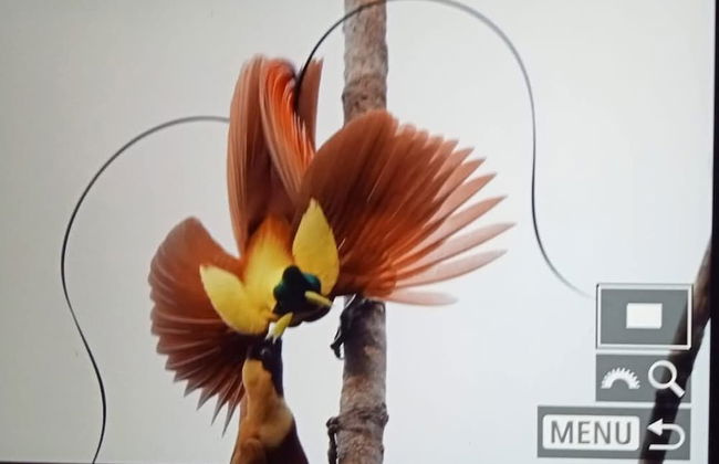 Mamatua N. Saleo Villa - Foto 13