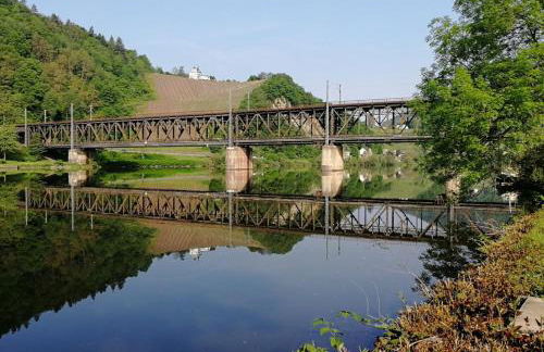 Ferienhaus Am Moselstausee - Foto 43