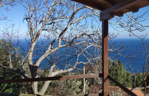 Villa Annoula - Photo 20