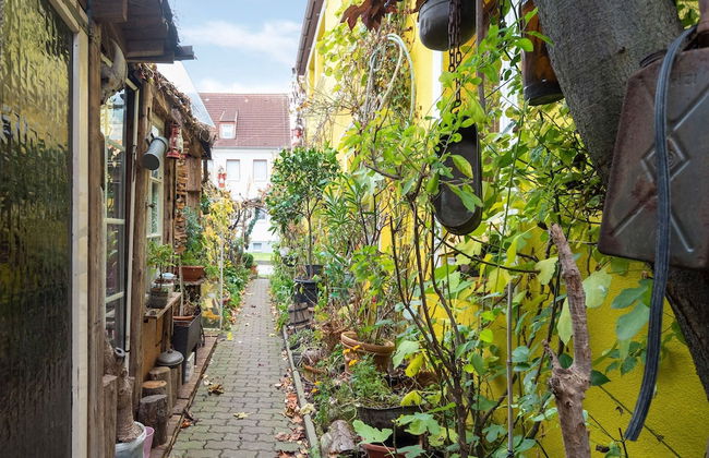 Charmante Ferienwohnung in Wismar mit Garten - Foto 28