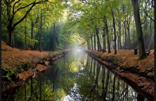 Apartment in Bergen Near Schoorl Dunes - Photo 32