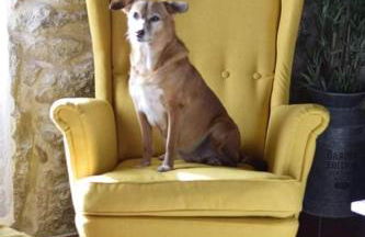 Casa Pedra & Cal - Foto 20