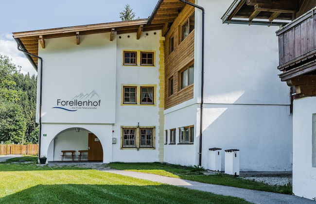 Chalet in Angerberg Near Skiwelt Slopes - Foto 30