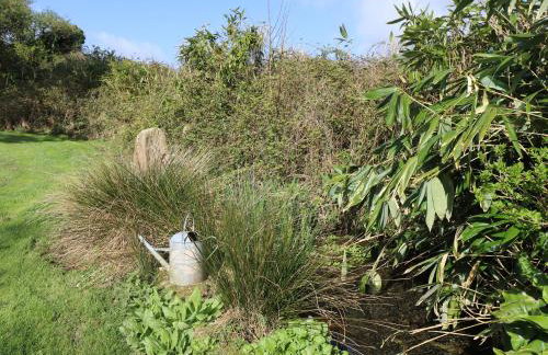 Boskednan Wartha - Photo 27