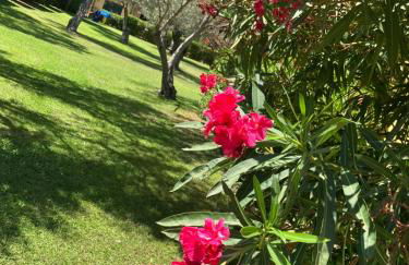 Anno Zero Sweet House - Foto 36