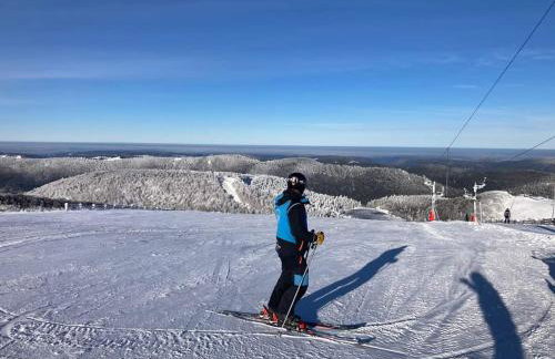 Notre Renardière, Gîtes à Saulxures-sur-Moselotte, Hautes-Vosges - Foto 47