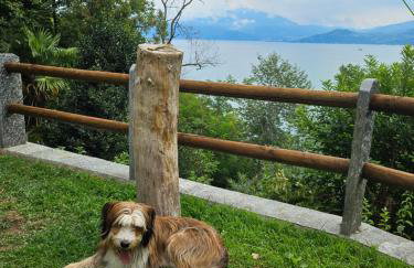 Mid of Nature ' Bella Vista Lago Maggiore charmant mit traumhaften Seeblick, Terrasse und großen Garten - Foto 20