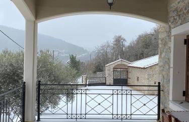 Αρχοντικό Γκιντώνη - Foto 32