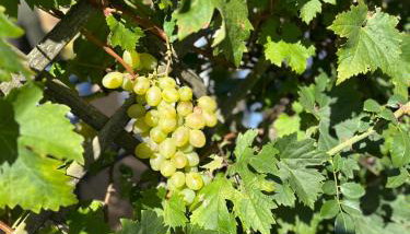 Halte vendéenne atypique - Foto 3