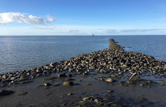 Doppelhaushaelfte, Friedrichskoog-spitze - Foto 20
