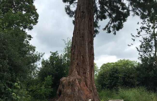 Village Period Cottage Next to a Idyllic Stream - Foto 28
