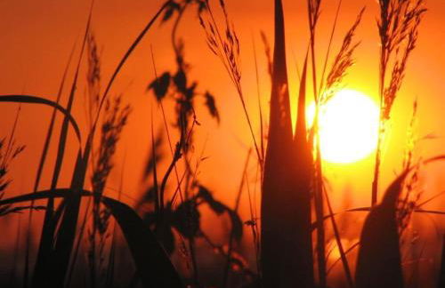 Summer freshness Comfortable holiday residence - Foto 29