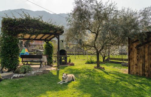 La Casa nel Verde - Foto 36