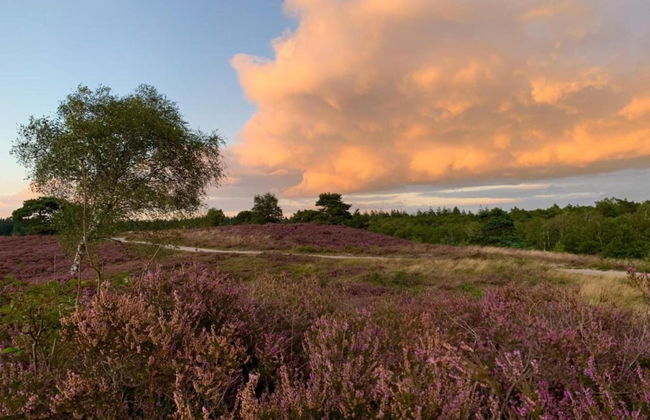 Getaway With Garden in Gelderland - Foto 25