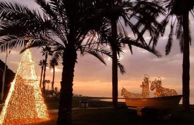 BAHIA DE MALAGA - Photo 60