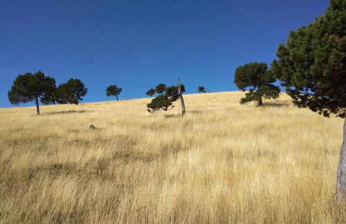 LE SECOND SOUFFLE Maison proche centre ville de Die tout peut se faire à pied gare SNCF marché U express rivière - Foto 34