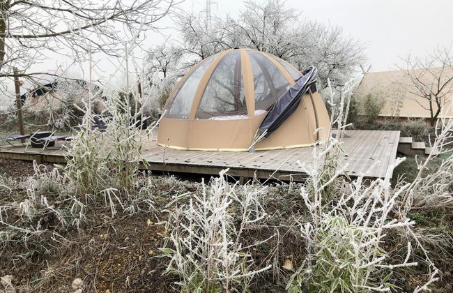 Les Nuits Insolites de Madine - Foto 38