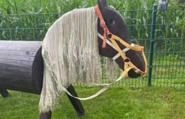 Schöne Auszeit RE14 - Photo 15