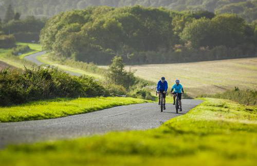 Auctioneers Cottage - Foto 34