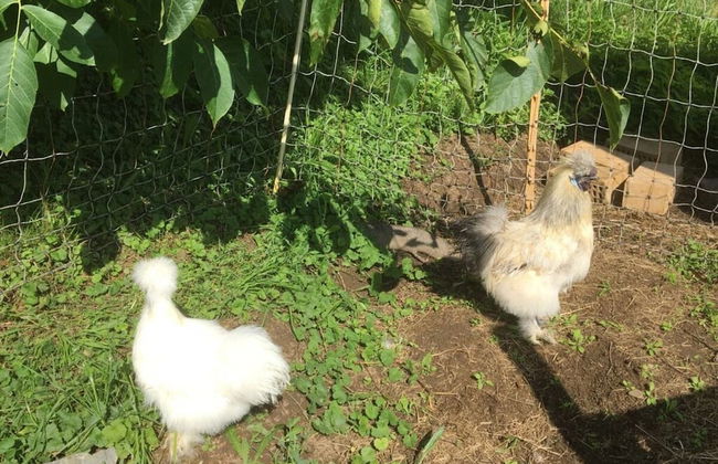 Farm in the Agerital - Foto 32