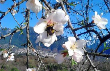 Villa Rustica - Photo 124