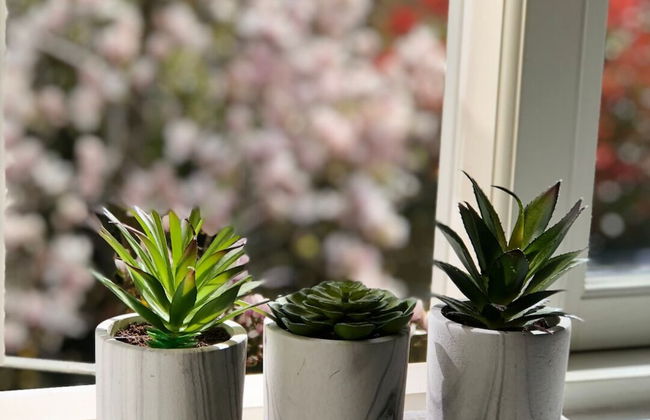 Magnolia Cottage - Foto 25