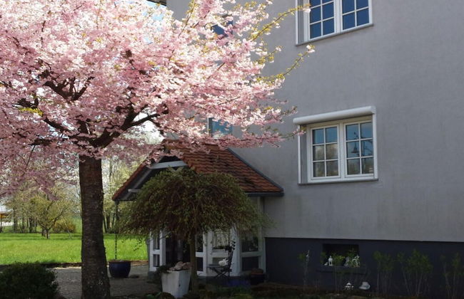 Romantic, Luxurious en Modern Holidayhome - Photo 21