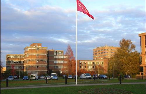 Stunning 3 Bedroom 2 Bathroom Bungalow by CozyNest - Photo 25