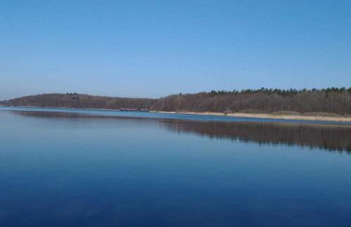 tierfreundliche Ferienwohnung - Foto 22