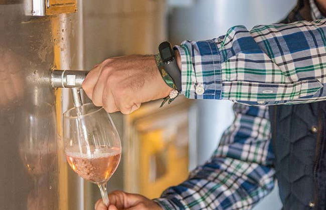 Free tour del vino en El Sauzal - Foto 7