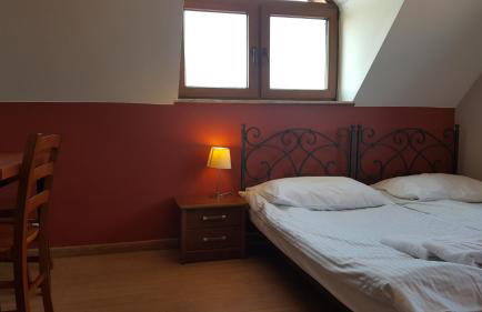 Willa Dzika Róża - Foto 17