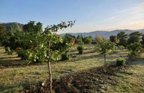 Agriturismo Cuca - Foto 48