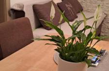 KUĆA U PRIRODI LI - Foto 30