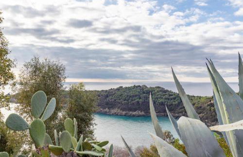 Simona Panorama - Photo 29