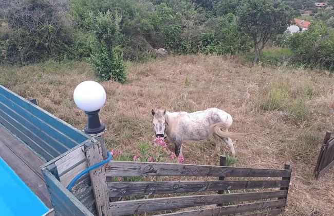 Villa Skantali - Foto 38