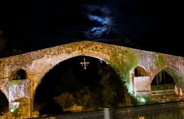 El Rinconin de Degu - Photo 37