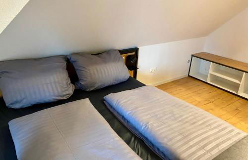 Platzhirsch - Foto 10