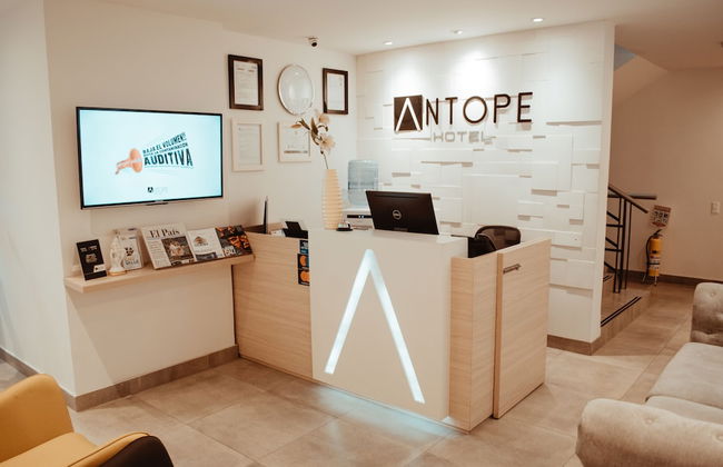 Antope - Apartaestudios - Photo 5